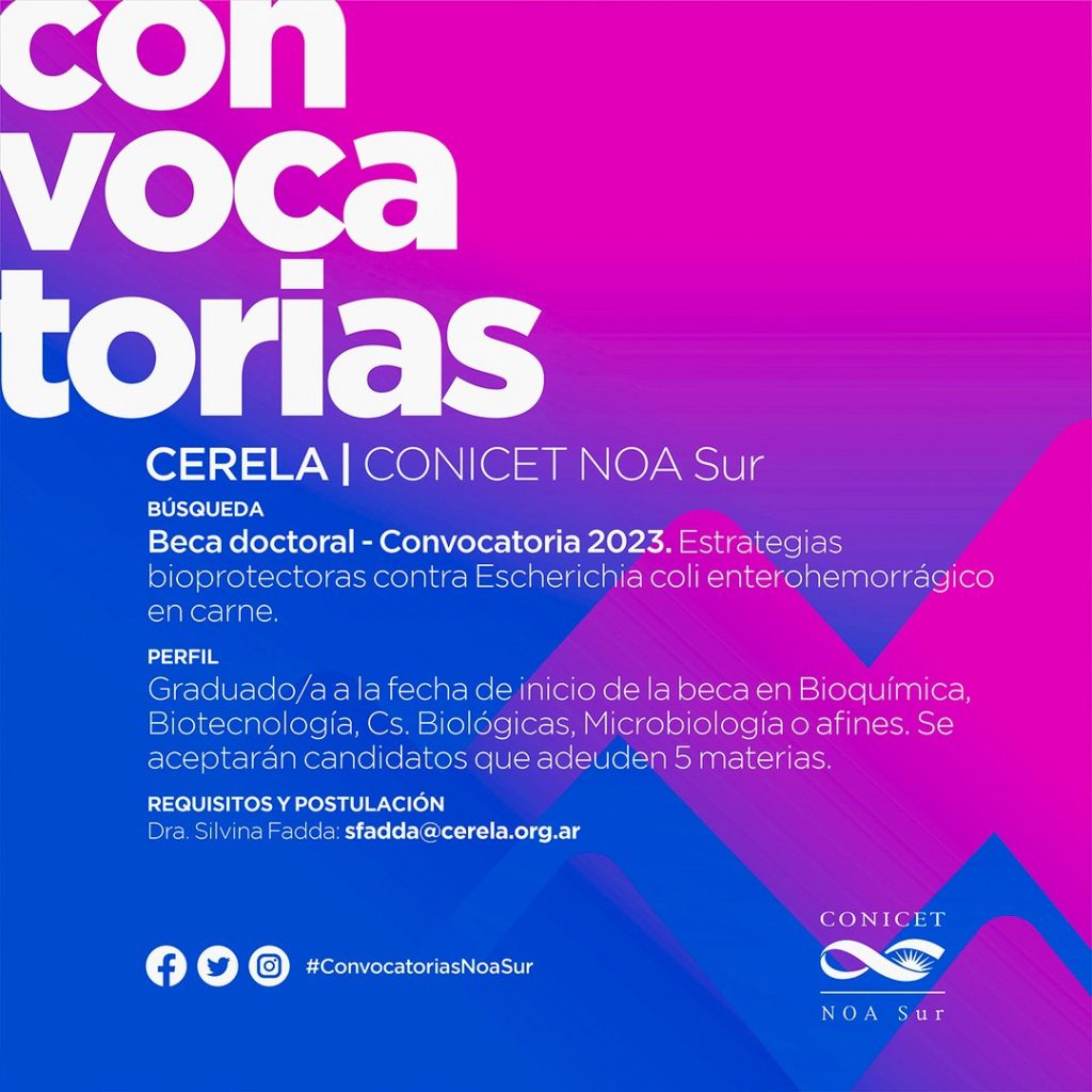 Convocatoria del CERELA para candidatx a Becas CONICET 2023