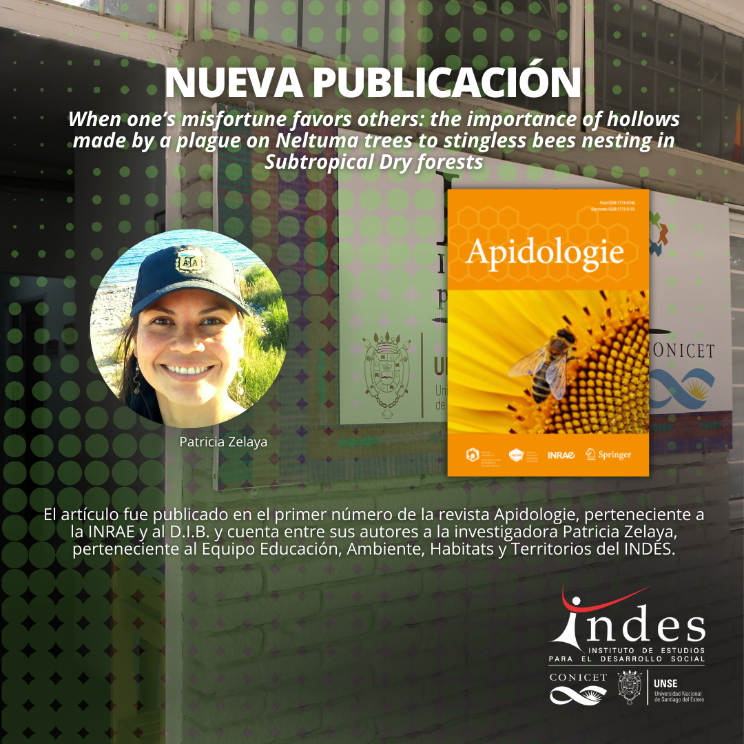 Nueva publicación: The importance of hollows made by a plague on Neltuma trees to stingless bees nesting in Subtropical Dry forests