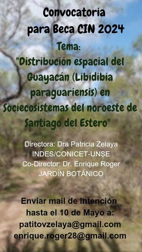 Convocatoria a postulantes Beca CIN: Distribución espacial del Guayacán